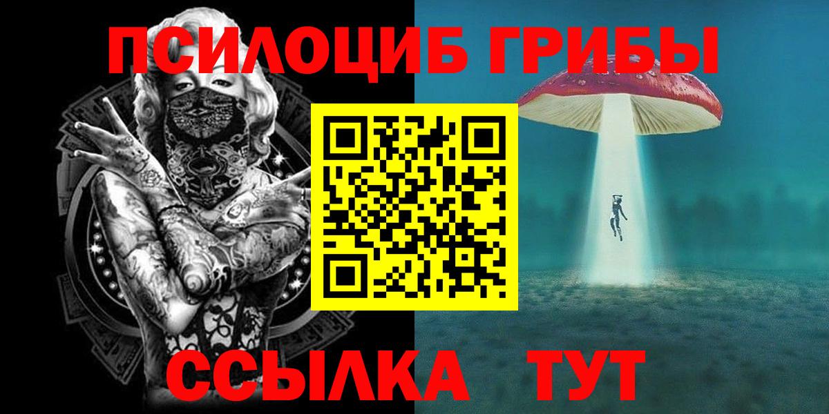 Кизляр  Галлюциногенные грибы мухоморы  Галлюциногенные грибы мицелий  Вход с VPN 
